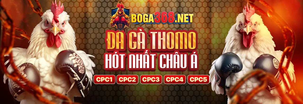 Vận động viên tennis chuẩn bị giao bóng
